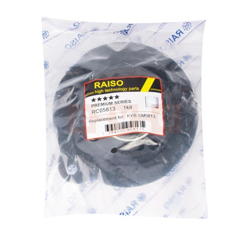 Suporte de amortecedor dianteiro esquerdo RC05813 Raiso