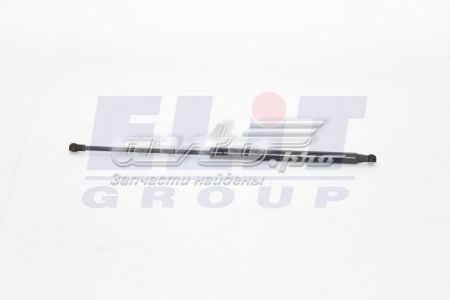 Amortecedor de tampa de porta-malas (de 3ª/5ª porta traseira) GS0696 Magneti Marelli
