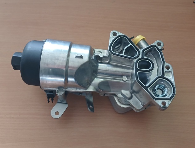 Compre 9801622280 Peugeot/Citroen Caixa do filtro de óleo