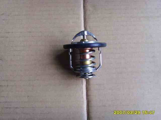 Compre 1018020600 BYD Termostato