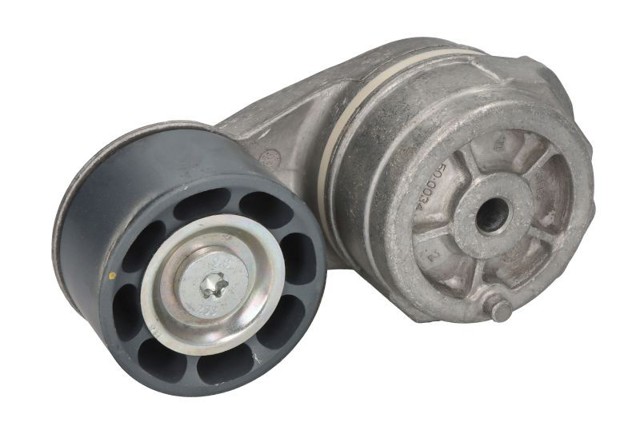 Compre APV3046 Dayco Reguladora de tensão da correia de transmissão