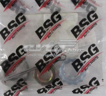 Compre BSG30471003 BSG Porca de cubo dianteiro