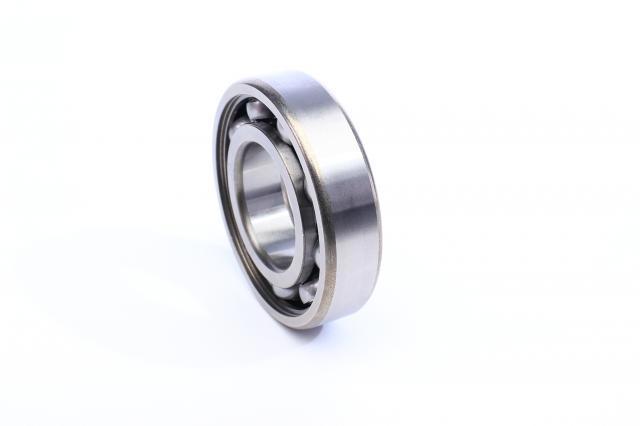 Rolamento de cubo traseiro 742000310 INA