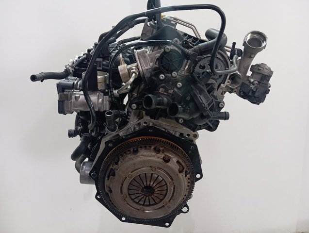 CYV VAG 