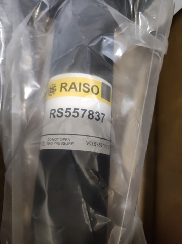 RS557837 Raiso Amortecedor dianteiro