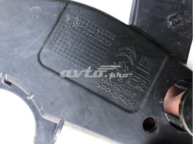 9830521680 Peugeot/Citroen Consola do painel dianteiro direito