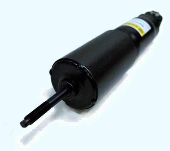Compre RS105819 Raiso Amortecedor dianteiro