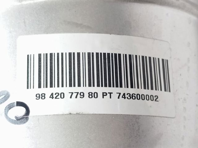 9834313080 Peugeot/Citroen 