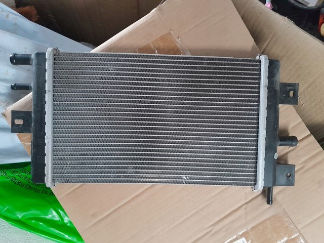  214109411R Renault (RVI)