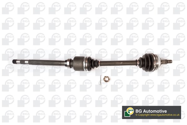  BGA DS1418R