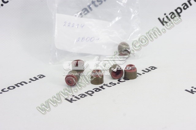 Vedante de cabeça de motor (CBC) 1421AARZZ0 PH