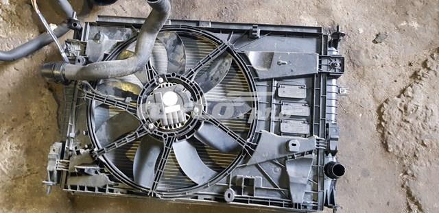 9805897480 Peugeot/Citroen Difusor do radiador de esfriamento, montado com motor e roda de aletas