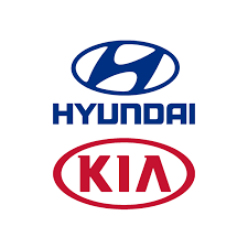Reguladora de tensão da cadeia do mecanismo de distribuição de gás 244102E300 Hyundai/Kia