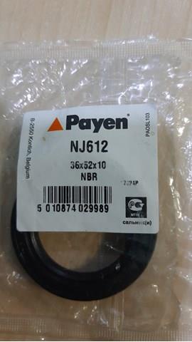  Payen NJ612