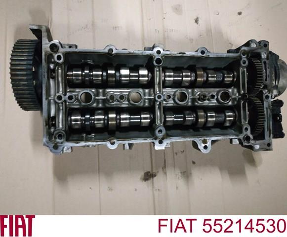 Compre 55214530 Opel Cama da árvore distribuidora