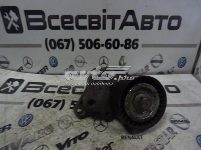 Reguladora de tensão da correia de transmissão 8200941079 Renault (RVI)