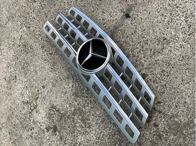 Grelha do radiador para Mercedes ML/GLE  W164
