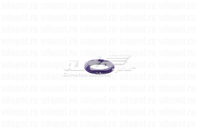 Vedante anular de mangueira do compressor de injeção General Motors 13153249