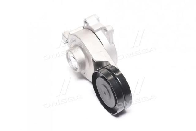 Reguladora de tensão da correia de transmissão RDA118111200AB Rider