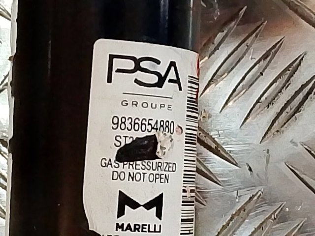 9836654880 Peugeot/Citroen Amortecedor dianteiro direito
