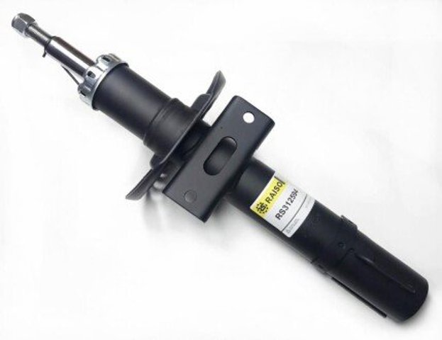 Compre RS312594 Raiso Amortecedor dianteiro