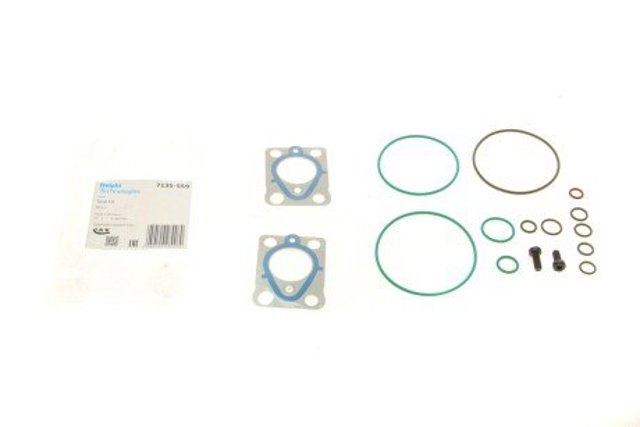 Kit de reparação da Bomba de Combustível de Pressão Alta Delphi 7135559