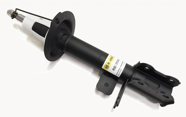 Compre RS317140 Raiso Amortecedor traseiro direito