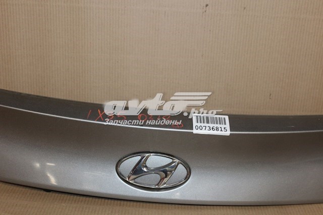 Moldura da porta traseira (de 3º/5º bagageiro) 873712S000 Hyundai/Kia