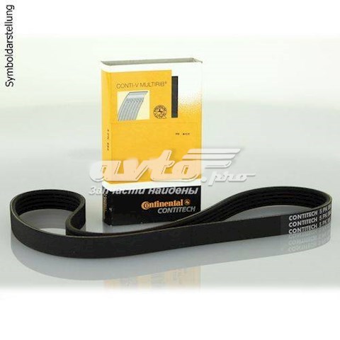 Compre 7PK1113 Continental/Siemens Correia dos conjuntos de transmissão