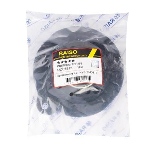 Compre RC05813 Raiso Suporte de amortecedor dianteiro esquerdo