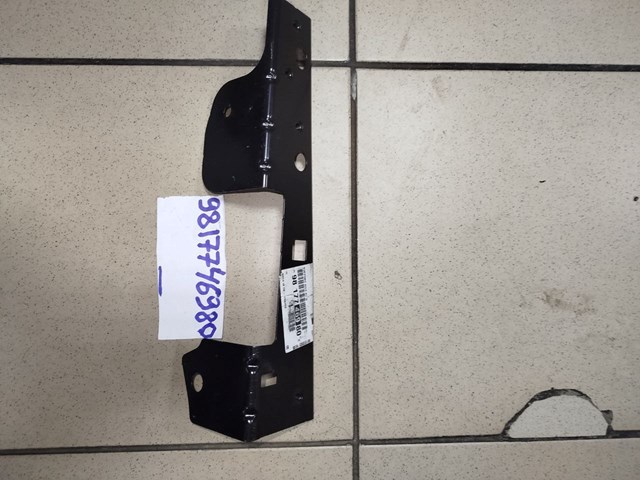 9817746980 Peugeot/Citroen 