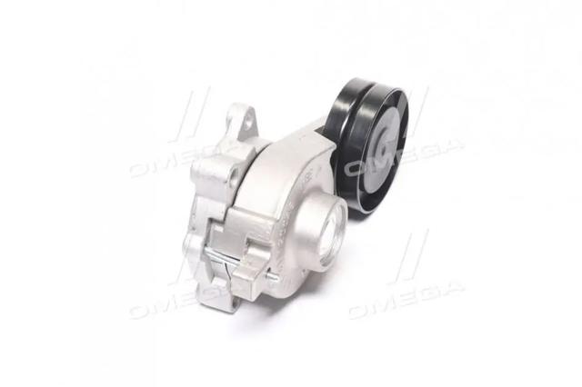 Reguladora de tensão da correia de transmissão RDA118111200AB Rider