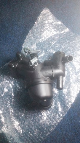 Termostato para Land Rover Discovery V L462
