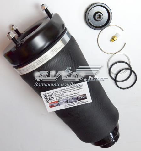 Compre A2513203113 Mercedes Amortecedor dianteiro