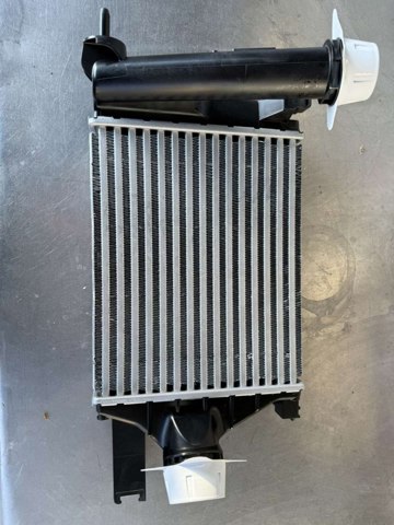 Compre 144966757R Renault (RVI) 