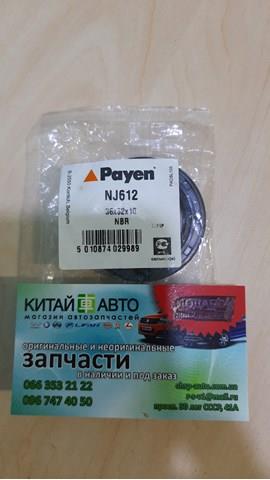 Bucim da Caixa Automática de Mudança (de árvore de saída/secundária) NJ612 Payen