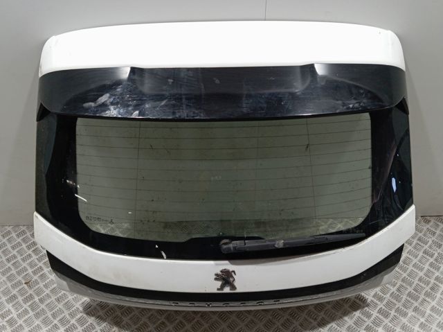 9827577380 Peugeot/Citroen 