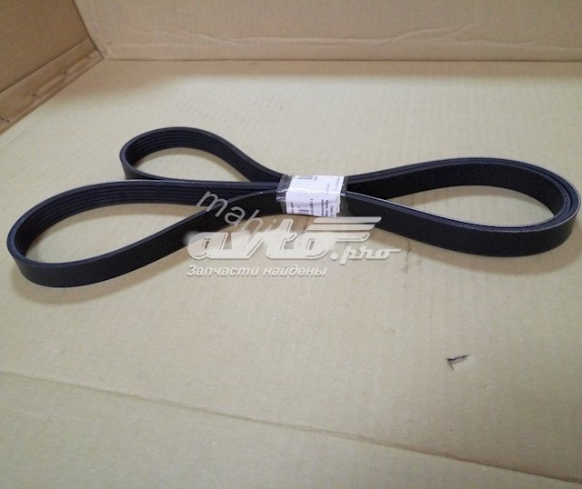 Correia dos conjuntos de transmissão 113600015702 Geely