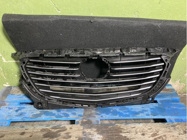 Grelha do radiador Mazda D10L50710J