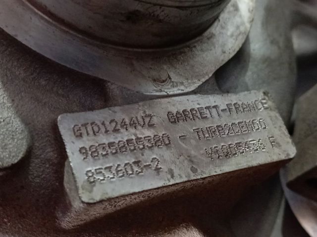 Compre YH01 Peugeot/Citroen 