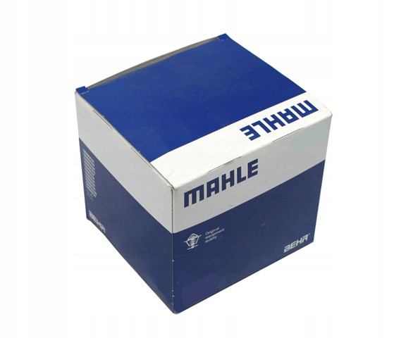 Pistão do kit para 1 cilindro, STD 227PI00141000 Mahle Original