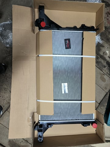 Radiador de esfriamento de motor Polcar 60N1082