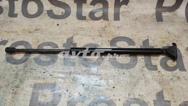 689600E021 Toyota Amortecedor de tampa de porta-malas (de 3ª/5ª porta traseira)