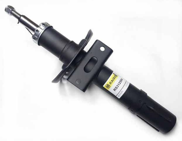 RS312594 Raiso Amortecedor dianteiro