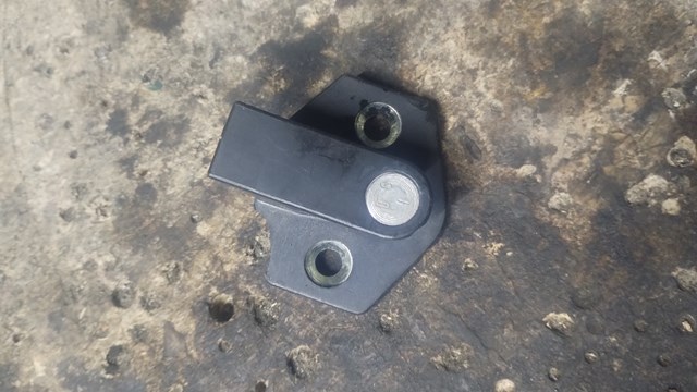 Gozno de garra (parte complementar) de fecho da porta dianteira 8176350 BMW