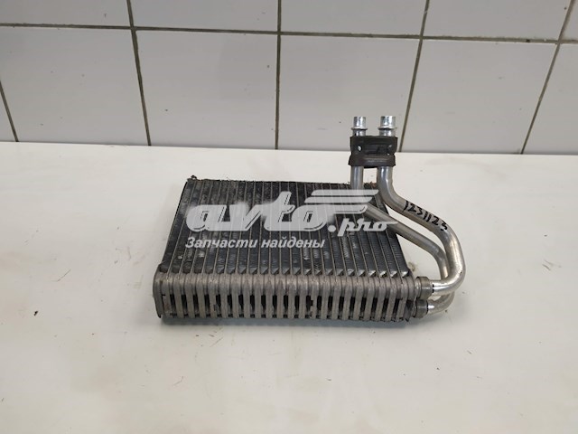 Vaporizador de aparelho de ar condicionado Polcar 57C1P81