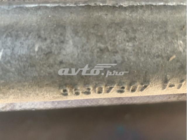  Peugeot/Citroen 96307307
