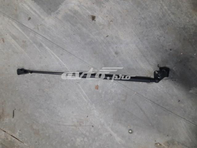 Compre FP8157290 FPS Amortecedor da capota