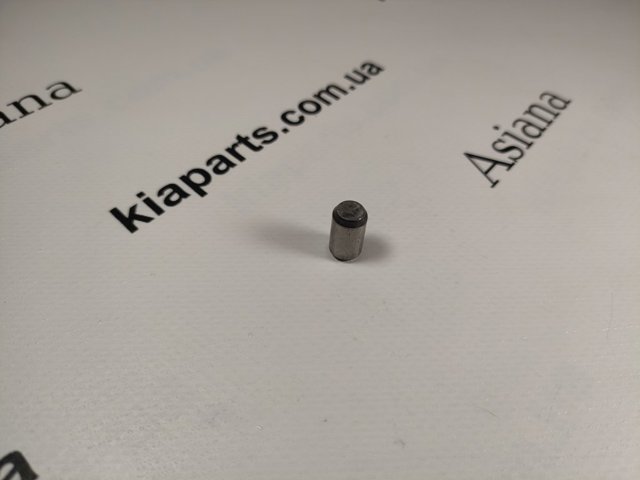 243774A200 Hyundai/Kia Amortecedor de cadeia de bomba de óleo