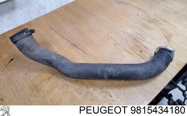 9815434180 Peugeot/Citroen Mangueira (cano derivado) de intercooler